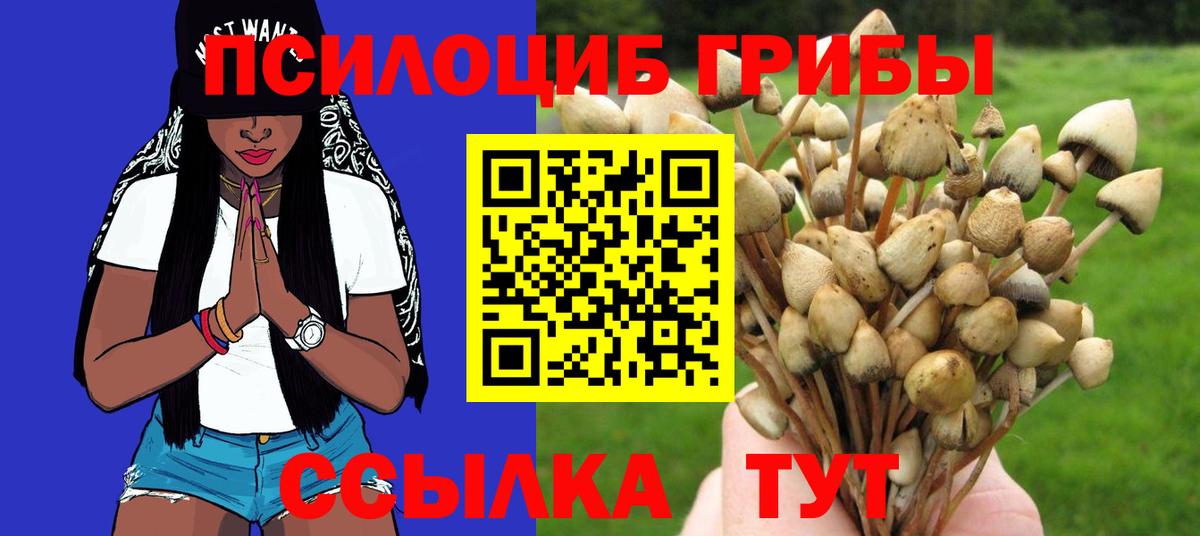 Псилоцибиновые грибы мухоморы Сибай